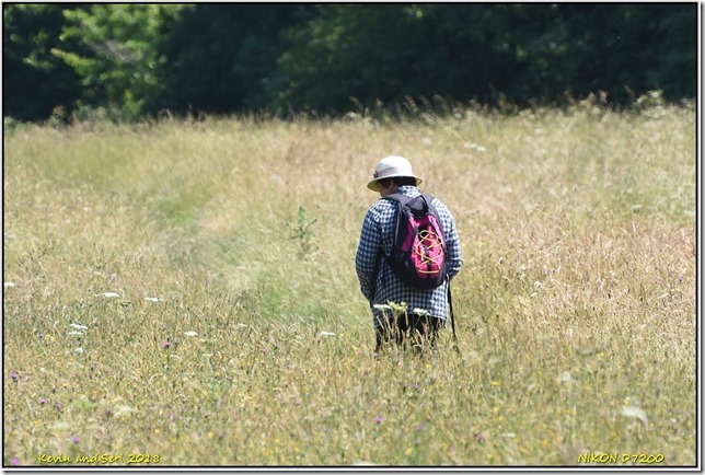 Draycote Meadows - June