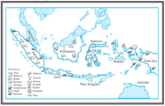 KEADAAN DAN  WILAYAH PERSEBARAN FLORA  DAN  FAUNA  DI  