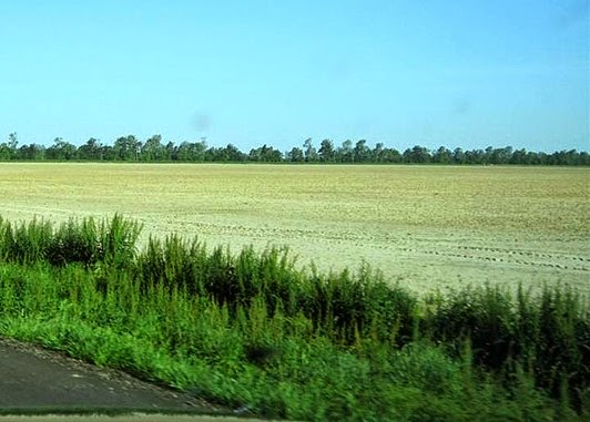 IMG_2752 (Medium)