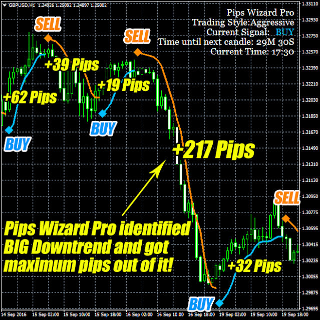  Pips Wizard Pro, Pips Wizard Pro Review