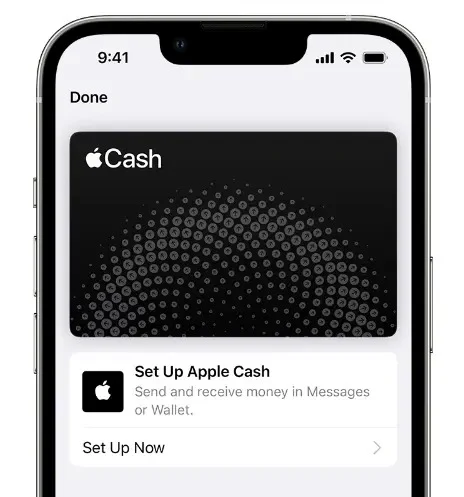 Apple Cash 虛擬卡號全新升級，無需Apple Pay也可暢快購物