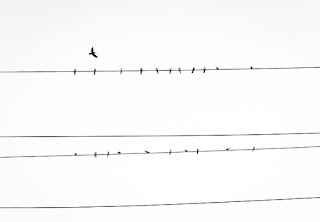 Why bird sitting on electric line does not get shocked?