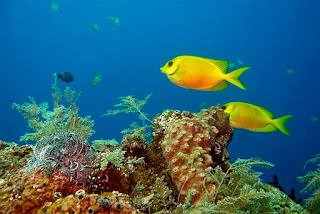 Objek Wisata Pantai Terkenal di Bali