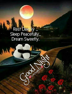 good night quotes 