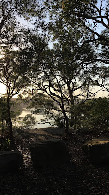 Morning Walks at Oatley Park