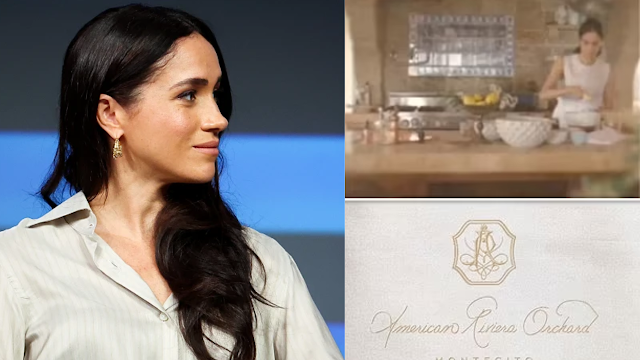Meghan Markle Seeks CEO for Newly Launched Brand