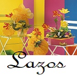  Lazos