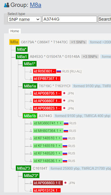 positive and negative mutation results