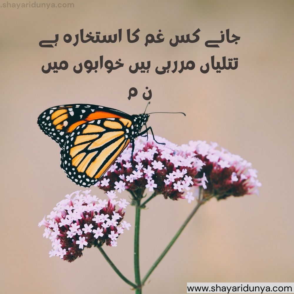 titli shayari in urdu | Butterfly Shayari | butterfly quotes | titli shayari in urdu  | titli quotes in urdu