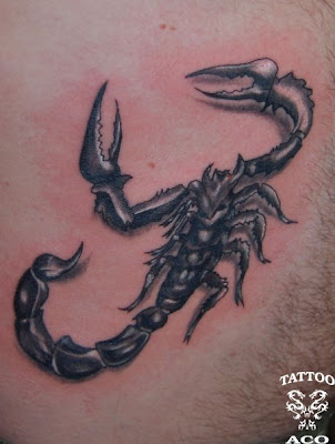 Scorpion Tattoo Scorpion Tattoo