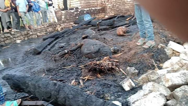 نفوق 8 رؤوس ماشية في حريق بمزرعة بقرية دمشقين بالفيوم