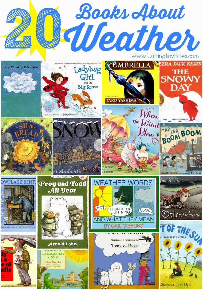books about the weather for preschool theme