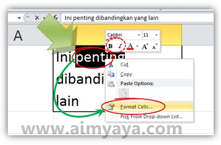 Masih di seputar format teks di dalam sel microsoft excel Cara Membuat Sebagian Teks Menjadi Tebal (Bold) di Ms Excel