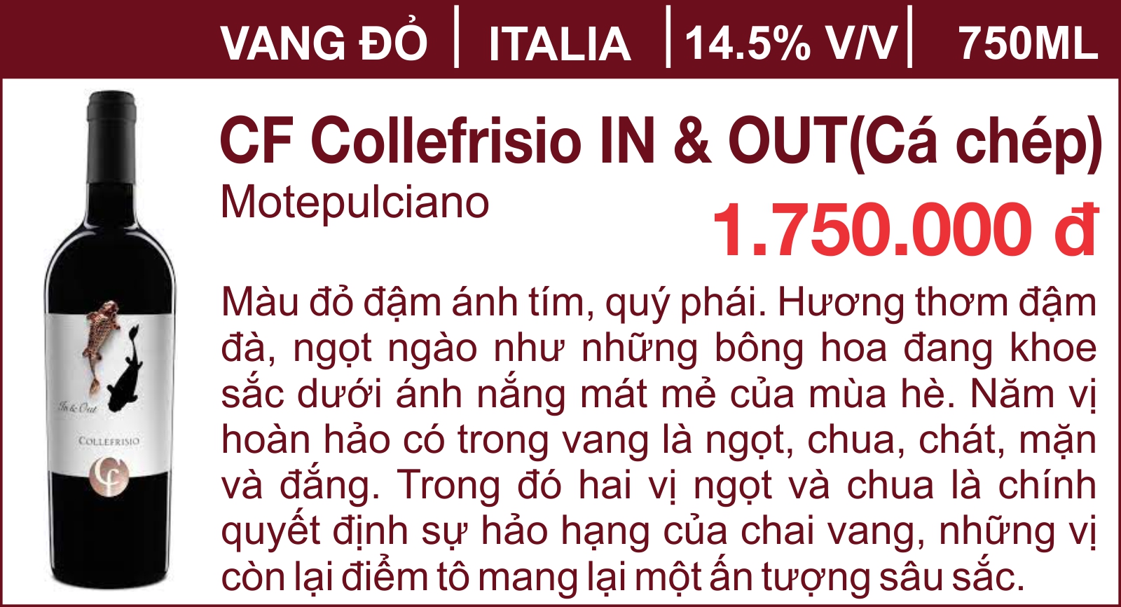 CF Collefrisio IN & OUT-Cá chép