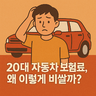 20대 자동차 보험료, 왜 이렇게 비쌀까