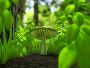 Green mushroom wallpaper (green mushroom wallpaper)
