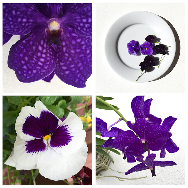 purple flowers color inspiration