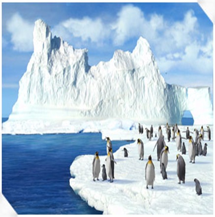 kakinada-ice