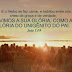 Estudo sobre João 1:14 – Meditando o Evangelho de hoje