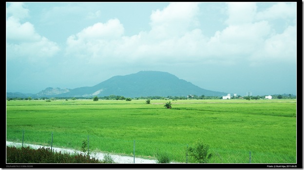 Bukit Hijau14