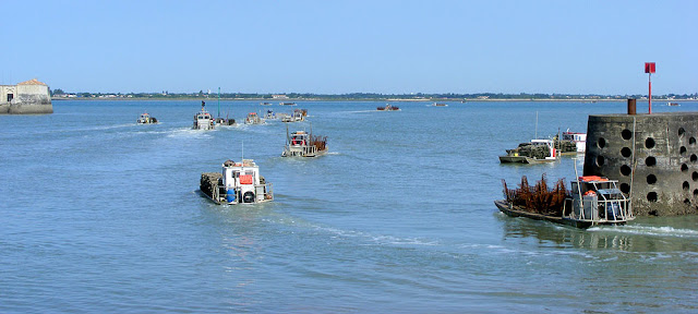 Oyster boat fleet leaves Bourcefranc-le-Chapus harbour. Charente-Maritime. France. Photo by Loire Valley Time Travel.