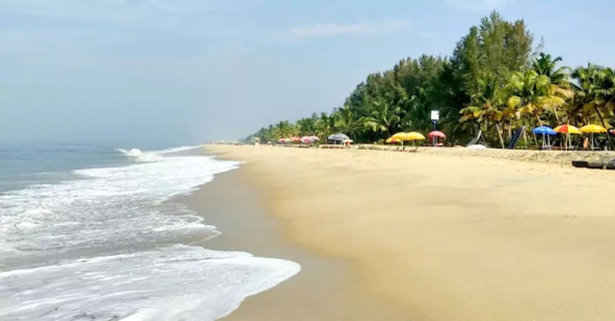 Best Tourist Places to Visit in Kerala