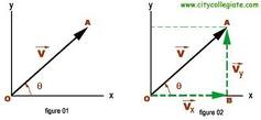 Matric Notes Physics Notes Topic Scalar and Vectors