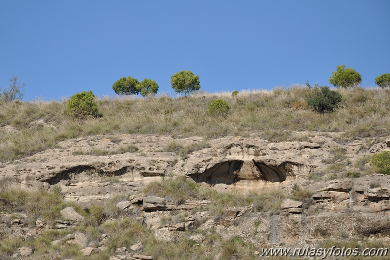 Hacho de Alora