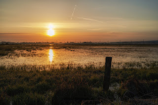 Sonnenaufgang Dümmer See Ochsenmoor Olaf Kerber