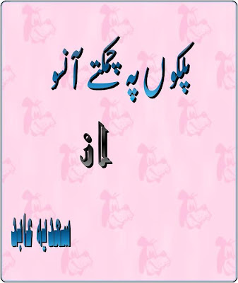 Palkon per chamakte aansoo by Sadia Abid pdf