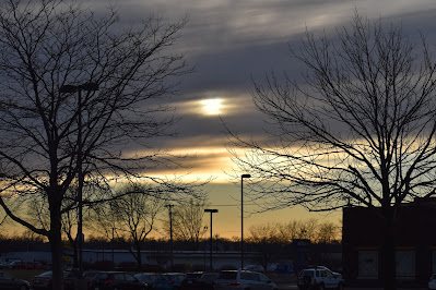 Sky seen from Lindale Trail