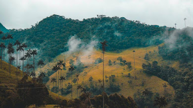 COLISEOS EN COLOMBIA