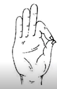 Gyan Mudra (Medication Hand Signs)