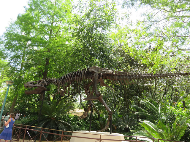 Dinosaur Fossil Dinoland USA Disney's Animal Kingdom Walt Disney World