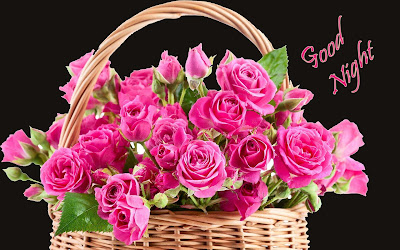 basket-of-pink-roses-flowers-image-good-night
