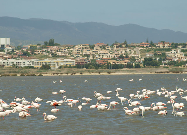 Poetto Sardynia