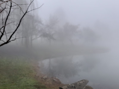 #intothefog,#fog, #lake, #wonder, #wonderful_places, #littlethings,#meravigliadellepiccolecose, inverno, nebbia,#biofilia #connessione #natura, A casa di Anna blog, annapisapia.blogspot.com