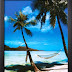 Tropical Beach Hammock Palm Trees Art Poster Print