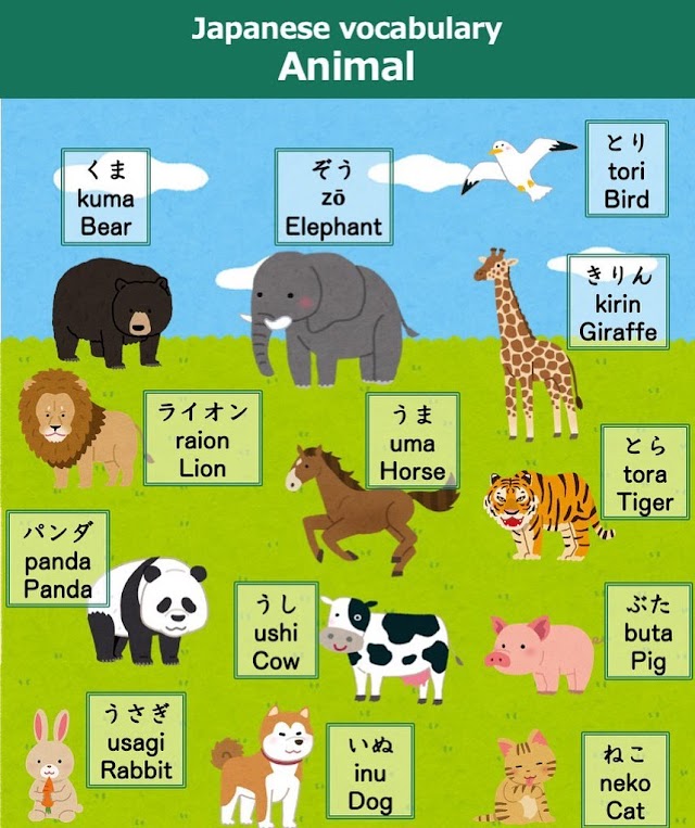 Animals Vocabulary in Japanese