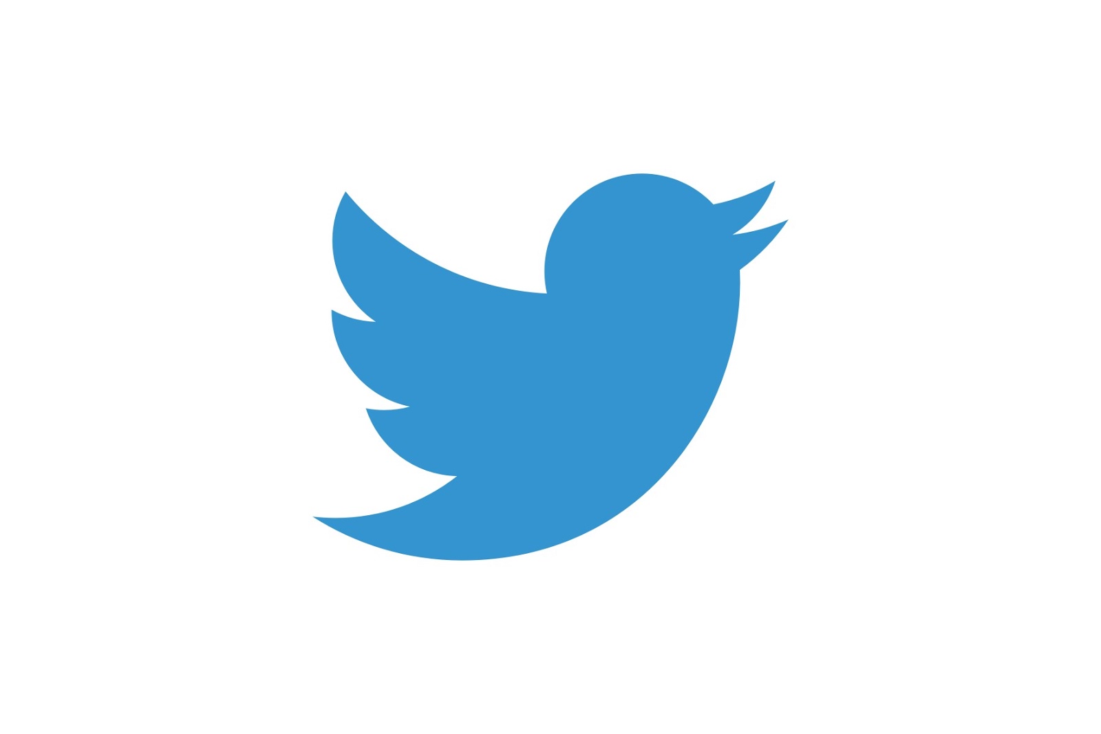 Twitter Logo - 1600 x 1067 jpeg 35kB