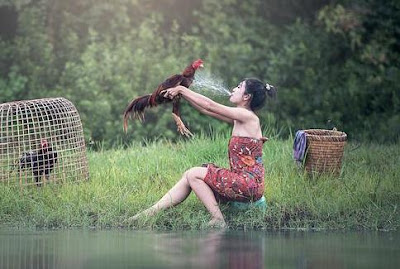 Cerita Lucu Orang Gila Vs Orang Waras