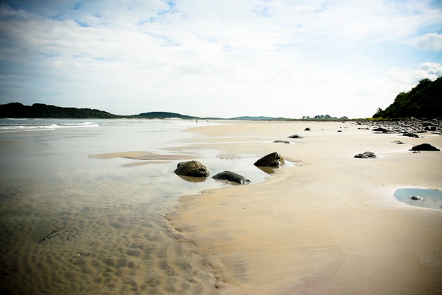 plum island summer-5551