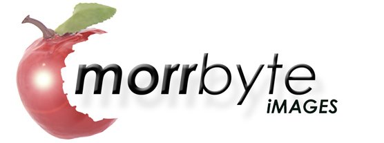 morrbyte