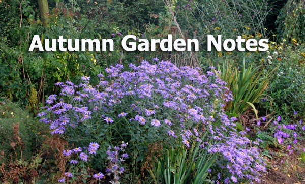 How to create an Autumn Garden