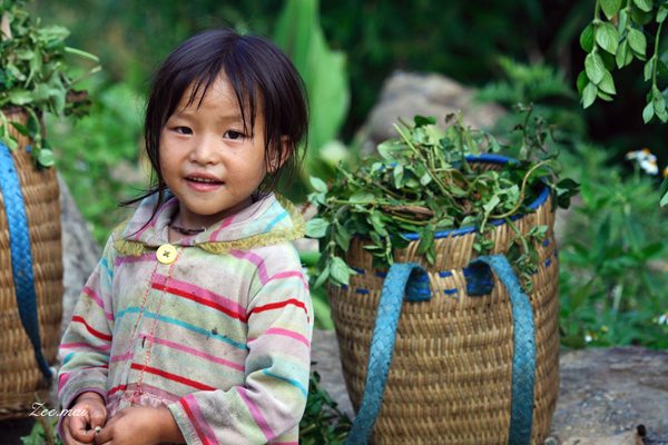 Những Homestay ở Sa Pa xinh xắn không gian yên tỉnh hút hồn du khách