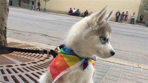 Saskatoon PRIDE