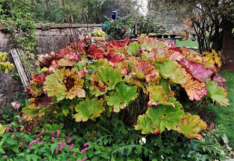 Gartendeko mit Großpflanzen