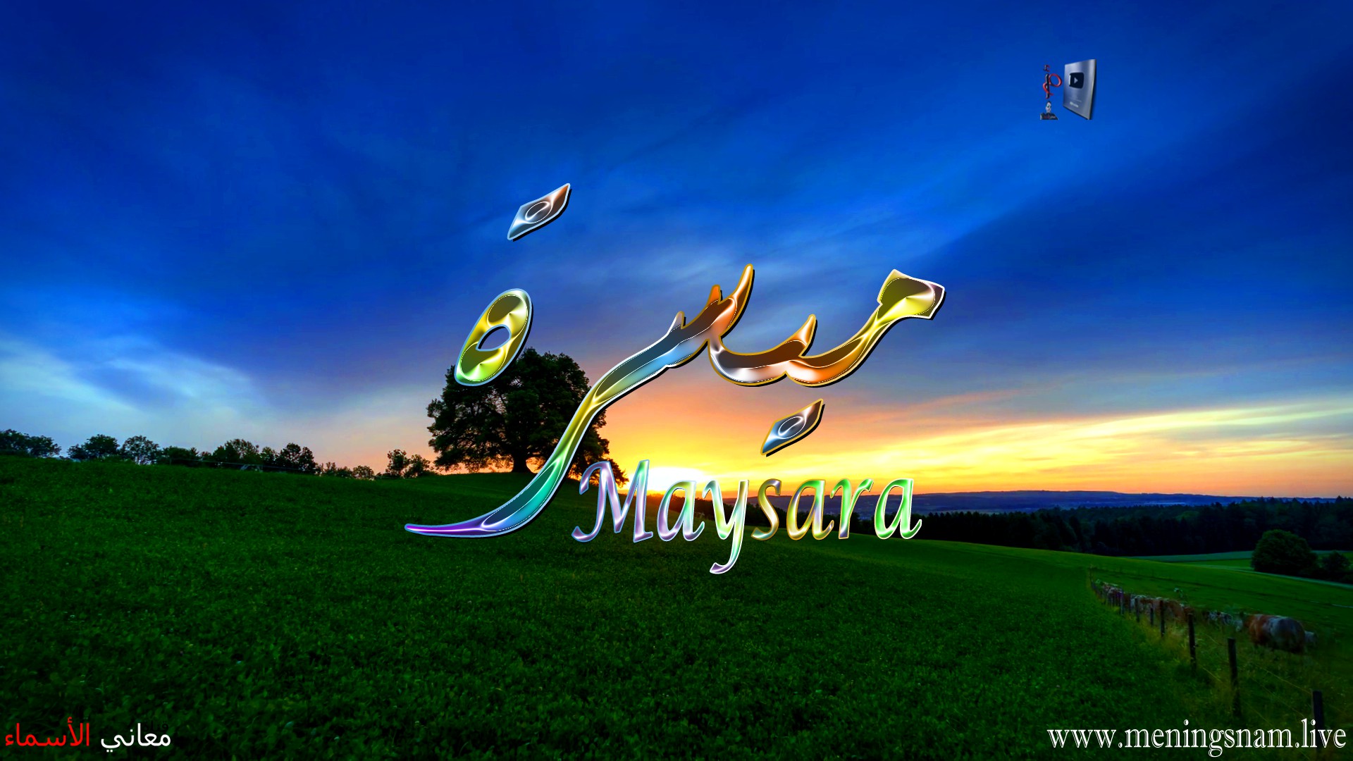 معنى اسم, ميسرة, وصفات حاملة, و حامل, هذا الاسم, Maysara,