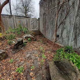 Toronto Back Garden Spring Cleanup Before in Riverdale by Paul Jung Gardening Services