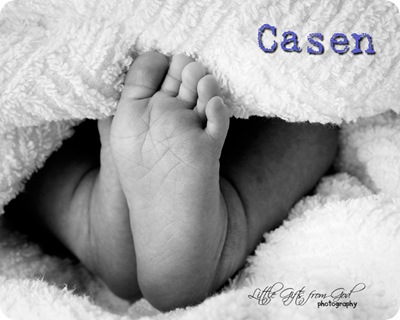 casen1web